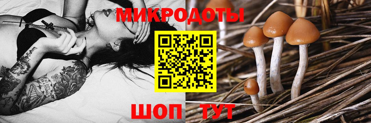 Галлюциногенные грибы Cubensis  Псилоцибиновые грибы Cubensis  Вход с VPN  сколько стоит  Усть-Кут 
